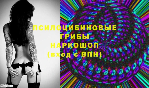 крисы Алексеевка
