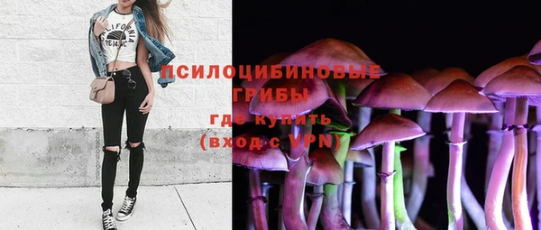 дживик Алексин