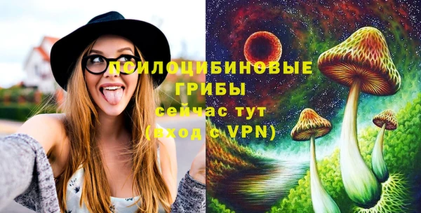 крисы Алексеевка