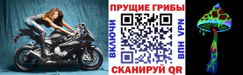 Псилоцибиновые грибы GOLDEN TEACHER  купить закладку  Ардон 