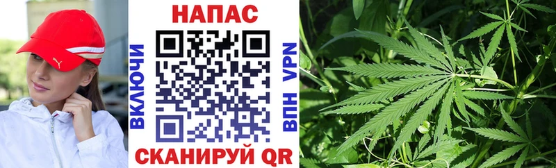 хочу   Ардон  Шишки марихуана план 